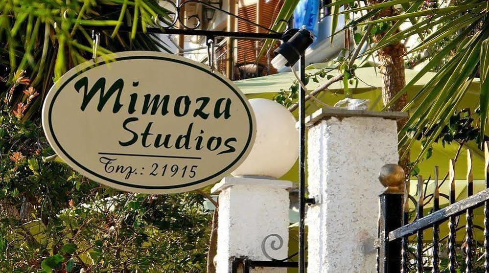 Mimoza Studios 斯基亚索斯镇 外观 照片